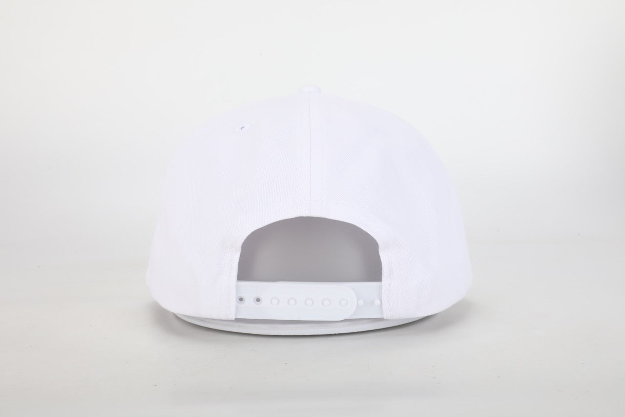 State Series 5 Panel Trucker Auburn