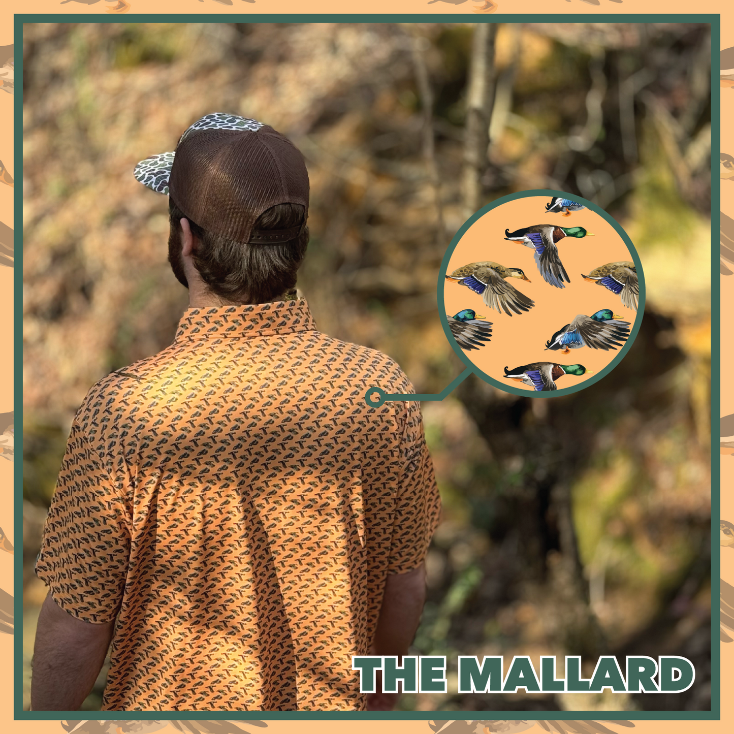 Mallard