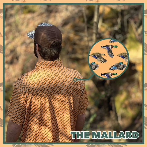 The "Mallard"